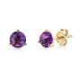 James Free 14K Yellow Gold Round Amethyst Stud Earrings