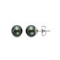 Black Tahitian Pearl Stud Earrings 8-9mm