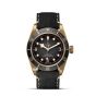 Tudor Black Bay Bronze 43mm Timepiece M79250BA-0001 Base