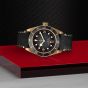 Tudor Black Bay Bronze 43mm Timepiece M79250BA-0001