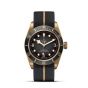 Tudor Black Bay Bronze 43mm Timepiece M79250BA-0002 Base