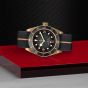 Tudor Black Bay Bronze 43mm Timepiece M79250BA-0002