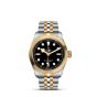 Tudor Black Bay S&G 36mm Steel and Gold Timepiece M79503-0001 Base