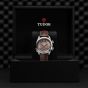 Tudor Heritage Advisor 42mm Titanium and Steel Timepiece M79620TC-0006