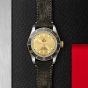 Tudor Black Bay S&G 41mm Steel and Gold Timepiece M79733N-0003