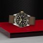 Tudor Black Bay S&G 41mm Steel and Gold Timepiece M79733N-0005
