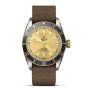 Tudor Black Bay S&G 41mm Steel and Gold Timepiece M79733N-0006