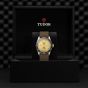 Tudor Black Bay S&G 41mm Steel and Gold Timepiece M79733N-0006