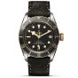 Tudor Black Bay S&G 41mm Steel and Gold Timepiece M79733N-0007