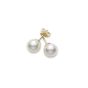 Mikimoto Akoya Pearl Stud Earrings with 18K Yellow Gold 8-8.5mm A+ PES802K