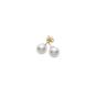 Mikimoto Akoya Pearl Stud Earrings PES401K