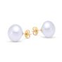 James Free 18K Yellow Gold 15MM Pearl Earrings - FINAL SALE -