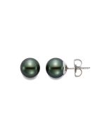 Black Tahitian Pearl Stud Earrings 8-9mm