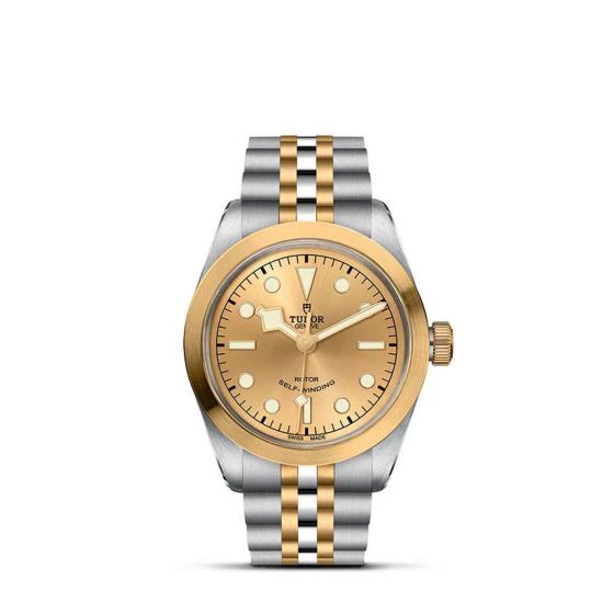 Tudor Black Bay S&G 36mm Steel and Gold Timepiece M79503-0002 Base