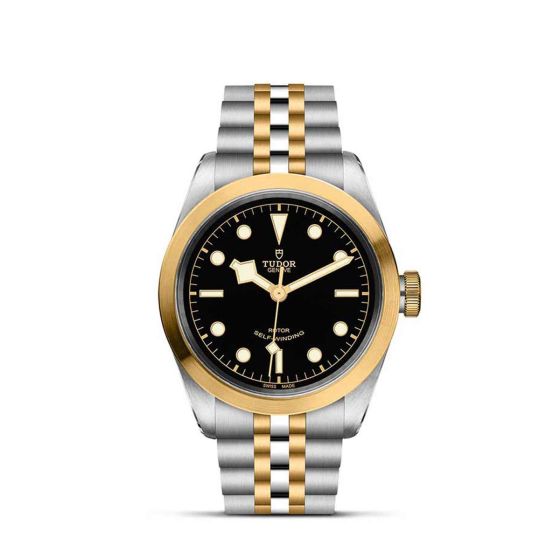 Tudor Black Bay S&G 41mm Steel and Gold Timepiece M79543-0001 Base