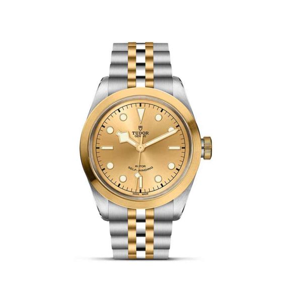 Tudor Black Bay S&G 41mm Steel and Gold Timepiece M79543-0002 Base