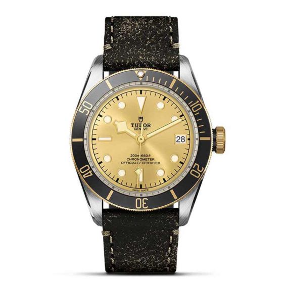 Tudor Black Bay S&G 41mm Steel and Gold Timepiece M79733N-0003