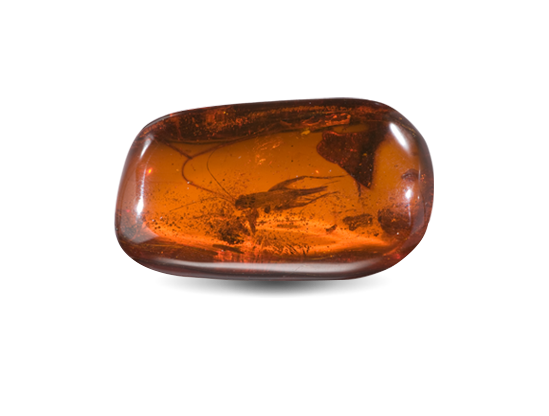 Amber gemstone